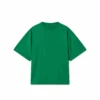 300 GSM 'Kelly Green' T-Shirt(300 Gsm Kelly Green T Shirt) 2 300 GSM 'Kelly Green' T-Shirt(300 Gsm Kelly Green T Shirt) -Cozy Wear World TSHIRT4 1